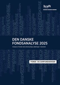Fondsanalysen 2025 lille